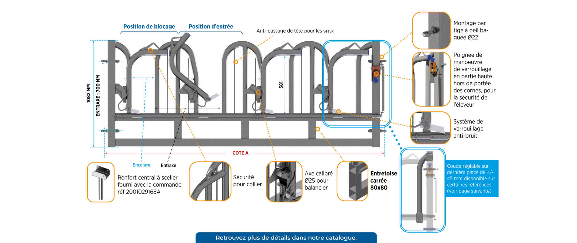 Cornadis PVB Robust bovins allaitants